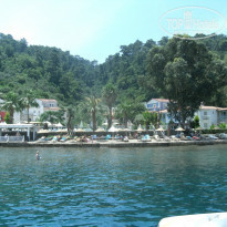 фото из отзыва ID 1550340