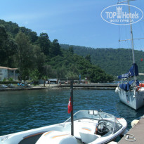 фото из отзыва ID 1550340