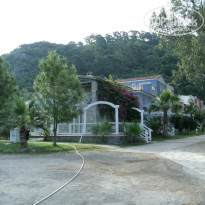 фото из отзыва ID 1550340