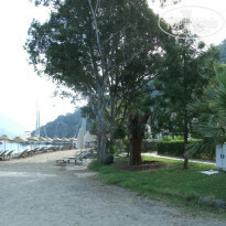 фото из отзыва ID 1550340