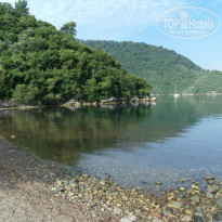 фото из отзыва ID 1550340