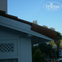 фото из отзыва ID 1550340