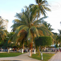 фото из отзыва ID 1550391