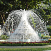 фото из отзыва ID 1550391