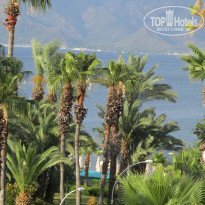 фото из отзыва ID 1550467