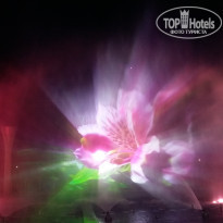 фото из отзыва ID 1550481