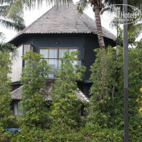 фото из отзыва ID 1550868