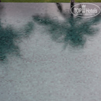 фото из отзыва ID 1550868