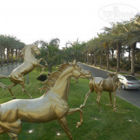 фото из отзыва ID 1550917