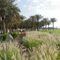 фото из отзыва ID 1550917