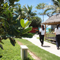 фото из отзыва ID 1550943