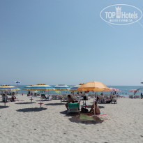 фото из отзыва ID 1550981