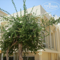 фото из отзыва ID 1550383