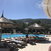 фото из отзыва ID 1551062