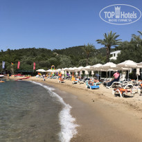 фото из отзыва ID 1551062