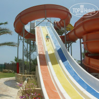 фото из отзыва ID 1550383