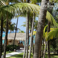 фото из отзыва ID 1551050