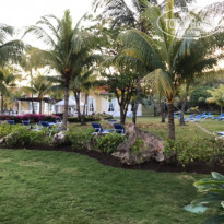 фото из отзыва ID 1551043