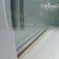 фото из отзыва ID 1551421