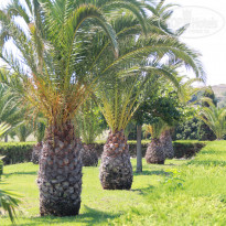 фото из отзыва ID 1551465