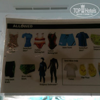 фото из отзыва ID 1551572