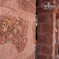 фото из отзыва ID 1551698