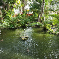 фото из отзыва ID 1551050