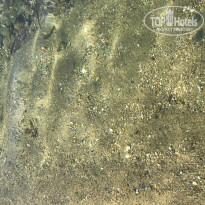 фото из отзыва ID 1550542