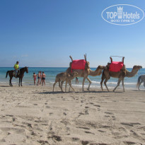 фото из отзыва ID 1551409