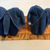 фото из отзыва ID 1551833