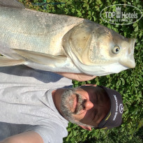 фото из отзыва ID 1551879