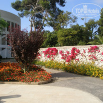 фото из отзыва ID 1551909