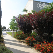 фото из отзыва ID 1551909