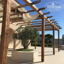 фото из отзыва ID 1551955