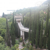 фото из отзыва ID 1551990