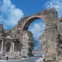 фото из отзыва ID 1552059