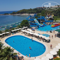 фото из отзыва ID 1552145