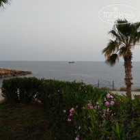 фото из отзыва ID 1552318