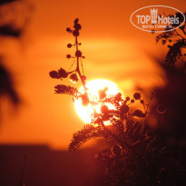 фото из отзыва ID 1552473