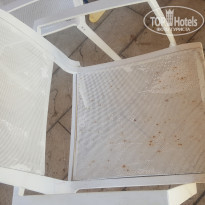 фото из отзыва ID 1552576