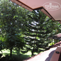 фото из отзыва ID 1552603