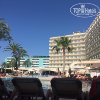 фото из отзыва ID 1552664