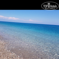 фото из отзыва ID 1552784