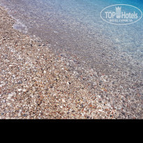 фото из отзыва ID 1552784