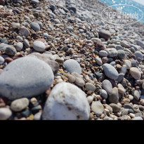 фото из отзыва ID 1552784