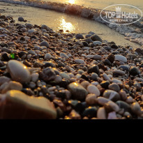 фото из отзыва ID 1552784