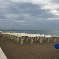 фото из отзыва ID 1552852