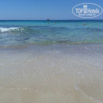 фото из отзыва ID 1552916