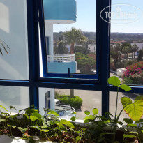 фото из отзыва ID 1552934