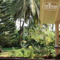 фото из отзыва ID 1552998